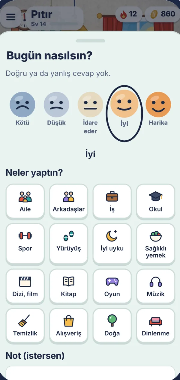 Ruh hali kaydı